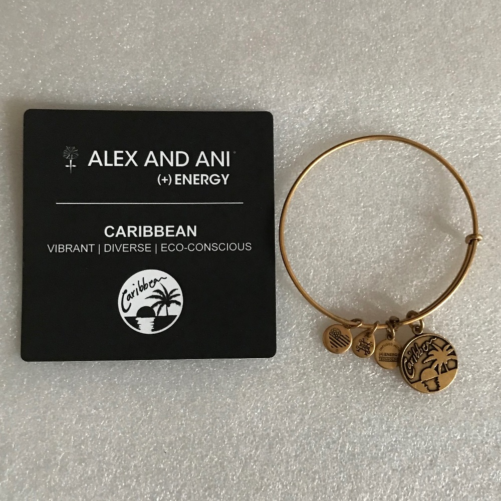 Alex and Ani Expandable Wire Bracelet Caribbean
